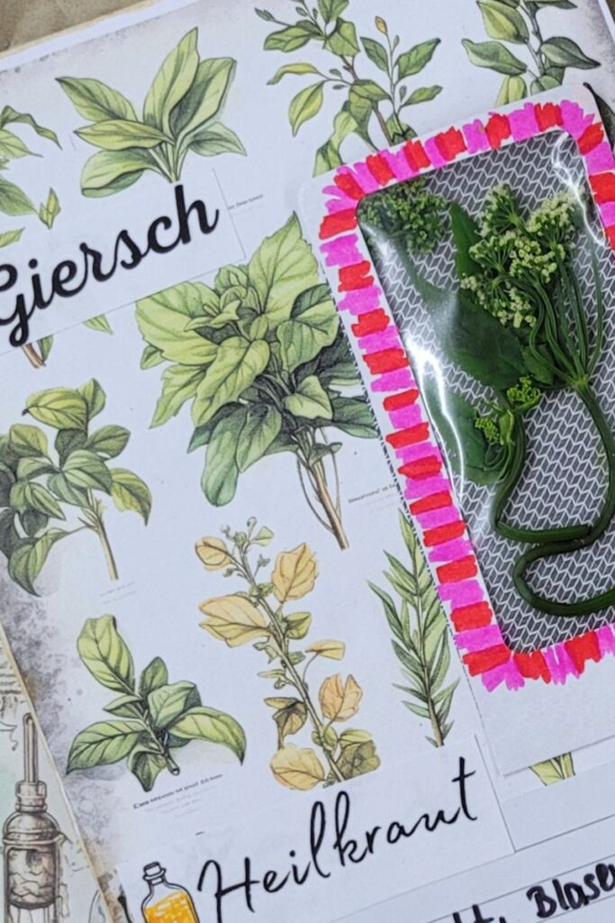 Birefumschlag-Pocket-Giersch Pocket aus einem Birefumschlag